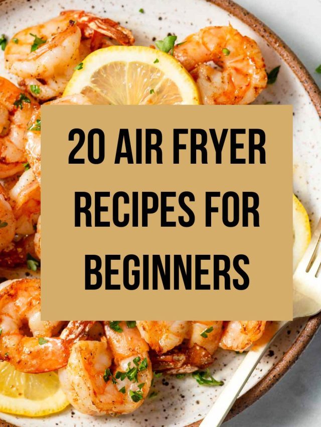 20+ Air Fryer Recipes For Beginners