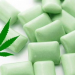 Marijuana Chewing Gum to Relieve Fibromyalgia Pain