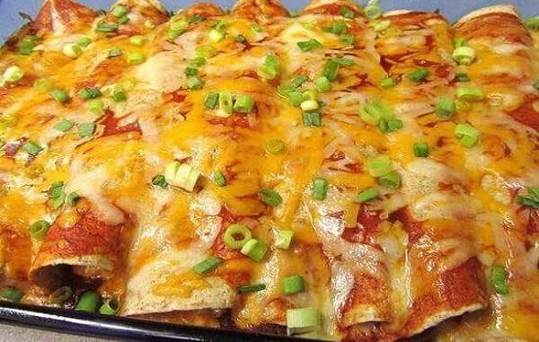 CREAM CHEESE CHICKEN ENCHILADAS!!!