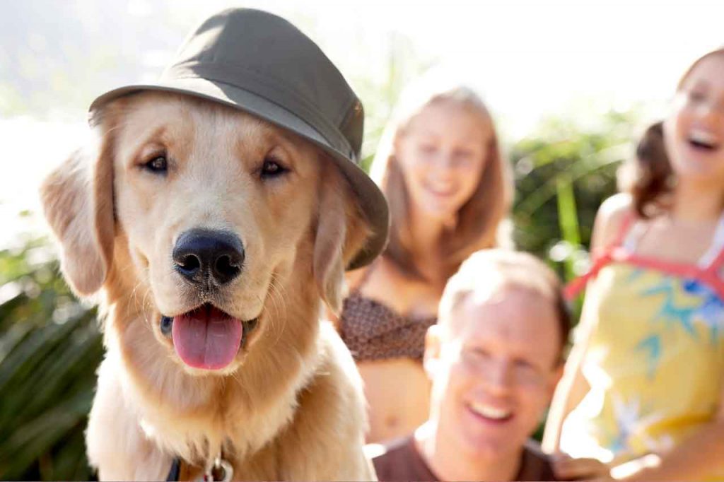 9 of Best family friendly dogs