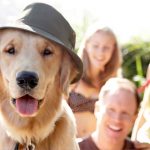 9 of Best family friendly dogs