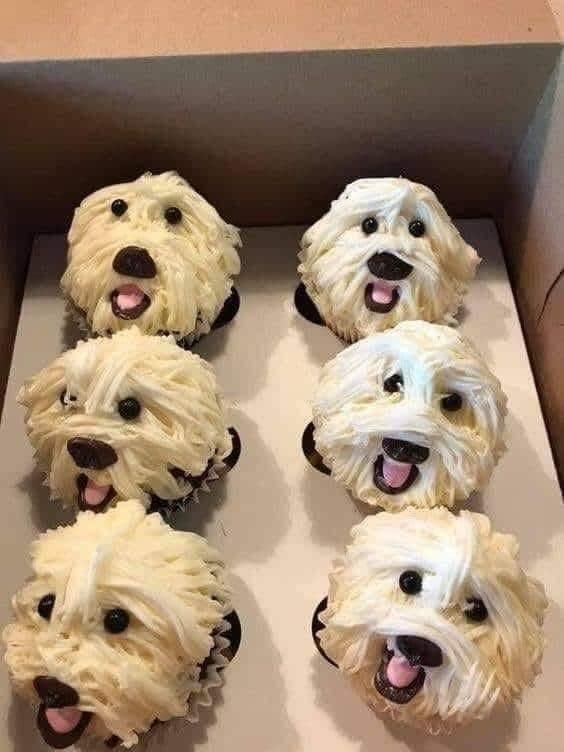 Cute puppy cupcakes