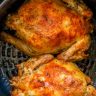 The Best Easy Air Fryer Cornish Game Hens Recipe