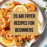 20+ Air Fryer Recipes For Beginners