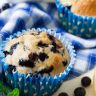 Air Fryer Blueberry Lemon Muffins