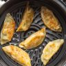 Air Fryer Potstickers