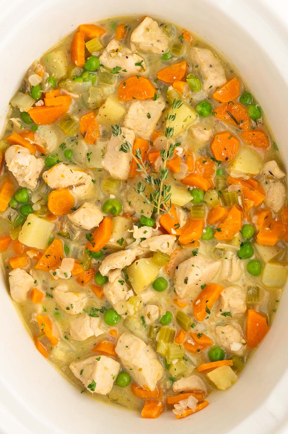 Slow Cooker White Wine Chicken Stew