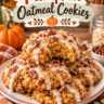Pumpkin Oatmeal Cookies